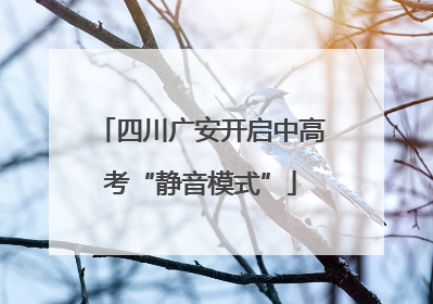 四川广安开启中高考“静音模式”