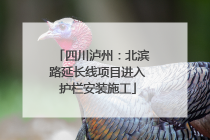 四川泸州：北滨路延长线项目进入护栏安装施工