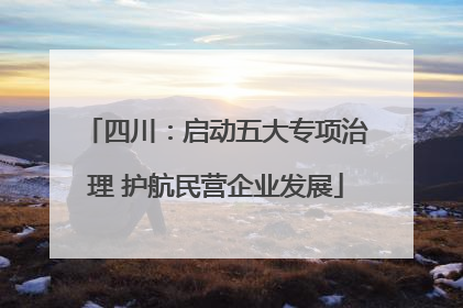 四川：启动五大专项治理 护航民营企业发展