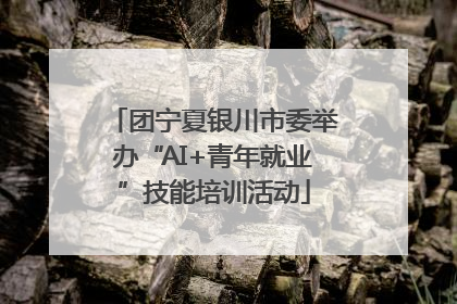 团宁夏银川市委举办“AI+青年就业”技能培训活动