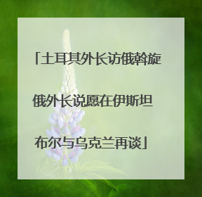 土耳其外长访俄斡旋 俄外长说愿在伊斯坦布尔与乌克兰再谈