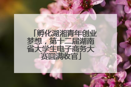 孵化湖湘青年创业梦想，第十二届湖南省大学生电子商务大赛圆满收官