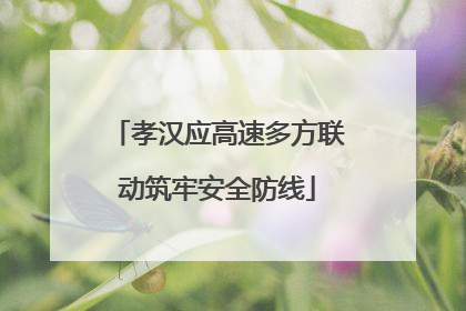 孝汉应高速多方联动筑牢安全防线