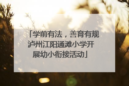 学前有法，善育有规 泸州江阳通滩小学开展幼小衔接活动