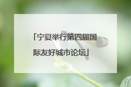 宁夏举行第四届国际友好城市论坛