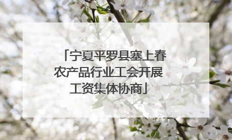 宁夏平罗县塞上春农产品行业工会开展工资集体协商