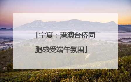 宁夏：港澳台侨同胞感受端午氛围