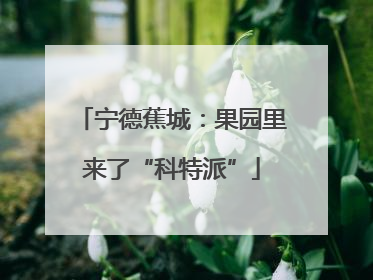 宁德蕉城：果园里来了“科特派”