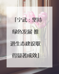 宁武：坚持绿色发展 推进生态建设取得显著成效