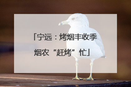 宁远：烤烟丰收季 烟农“赶烤”忙