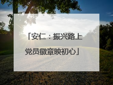 安仁：振兴路上 党员徽章映初心