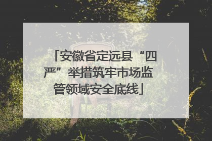 安徽省定远县“四严”举措筑牢市场监管领域安全底线