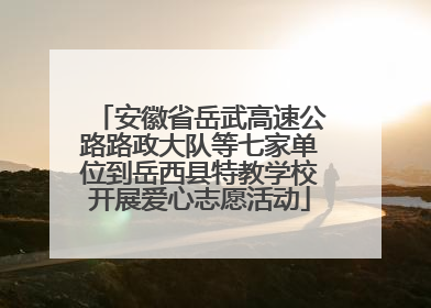 安徽省岳武高速公路路政大队等七家单位到岳西县特教学校开展爱心志愿活动