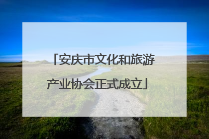 安庆市文化和旅游产业协会正式成立