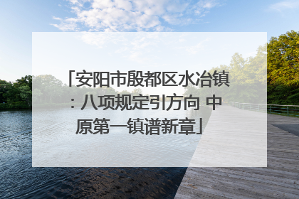 安阳市殷都区水冶镇：八项规定引方向 中原第一镇谱新章