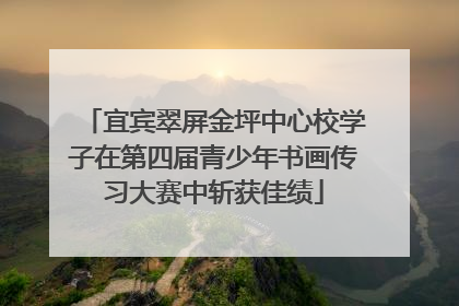 宜宾翠屏金坪中心校学子在第四届青少年书画传习大赛中斩获佳绩