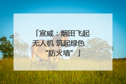 宣威：烟田飞起无人机 筑起绿色“防火墙”