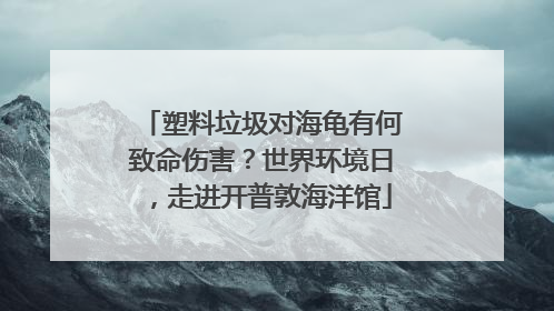 塑料垃圾对海龟有何致命伤害？世界环境日，走进开普敦海洋馆