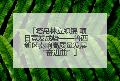 塔吊林立织锦 项目竞发成势——鲁西新区奏响高质量发展“奋进曲”