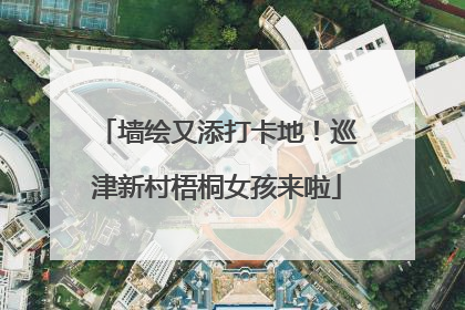 墙绘又添打卡地！巡津新村梧桐女孩来啦