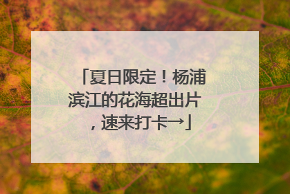 夏日限定！杨浦滨江的花海超出片，速来打卡→