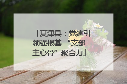 夏津县：党建引领强根基 “支部主心骨”聚合力