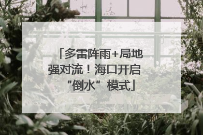 多雷阵雨+局地强对流！海口开启“倒水”模式