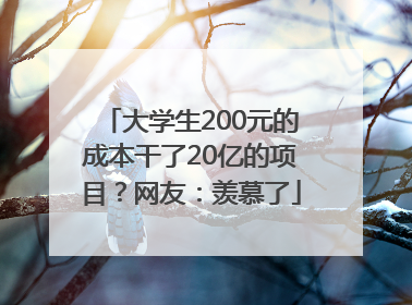 大学生200元的成本干了20亿的项目？网友：羡慕了