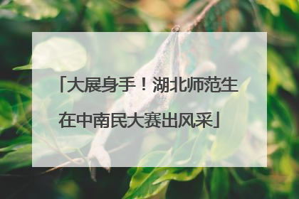 大展身手！湖北师范生在中南民大赛出风采