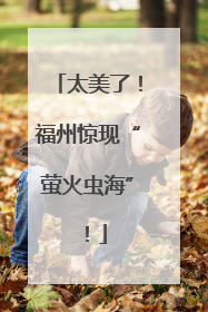 太美了！福州惊现“萤火虫海”！