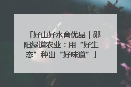 好山好水育优品｜郧阳绿道农业：用“好生态”种出“好味道”