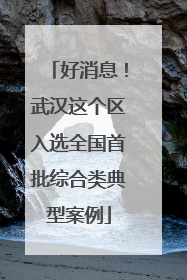 好消息！武汉这个区入选全国首批综合类典型案例