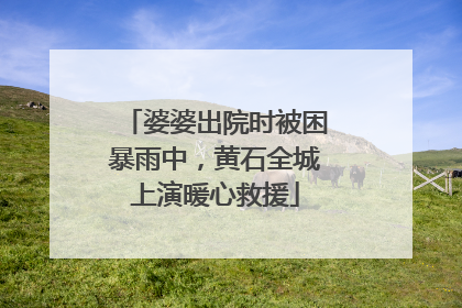婆婆出院时被困暴雨中，黄石全城上演暖心救援