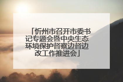 忻州市召开市委书记专题会暨中央生态环境保护督察边督边改工作推进会