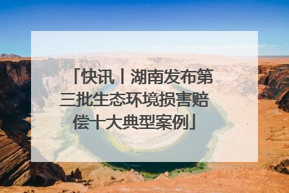 快讯丨湖南发布第三批生态环境损害赔偿十大典型案例
