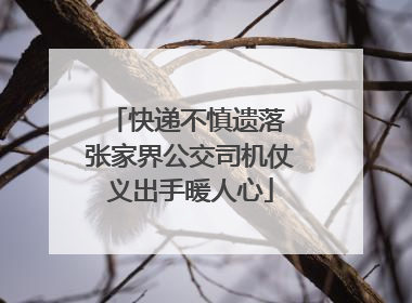 快递不慎遗落 张家界公交司机仗义出手暖人心