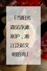 当阳光遇见净滩巡护，湘江泛起文明的光