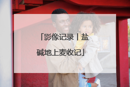 影像记录丨盐碱地上麦收记