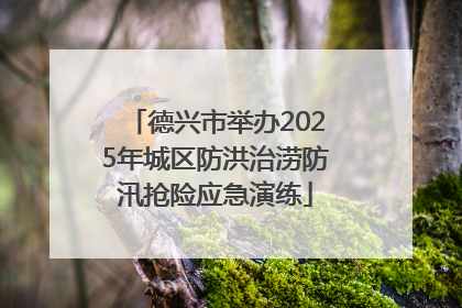 德兴市举办2025年城区防洪治涝防汛抢险应急演练