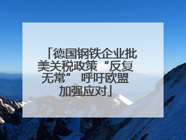 德国钢铁企业批美关税政策“反复无常” 呼吁欧盟加强应对