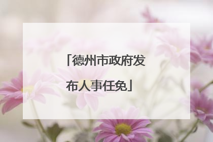 德州市政府发布人事任免