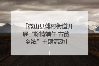 微山县傅村街道开展“粽情端午·古韵乡浓”主题活动