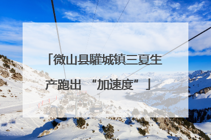 微山县驩城镇三夏生产跑出 “加速度”