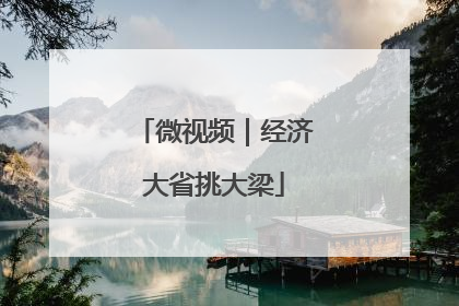 微视频｜经济大省挑大梁