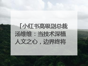 小红书高级副总裁汤维维：当技术深植人文之心，边界终将化为桥梁｜聚焦2025文化强国建设高峰论坛