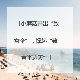 小蘑菇开出“致富伞”，撑起“致富半边天”
