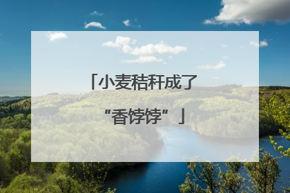 小麦秸秆成了“香饽饽”
