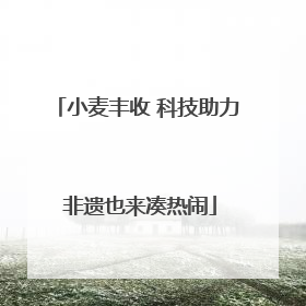 小麦丰收 科技助力 非遗也来凑热闹