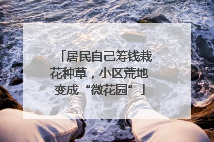 居民自己筹钱栽花种草，小区荒地变成“微花园”