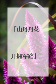 山丹丹花开拥军路